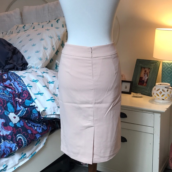 Blush pink waisted skirt - Picture 3 of 3